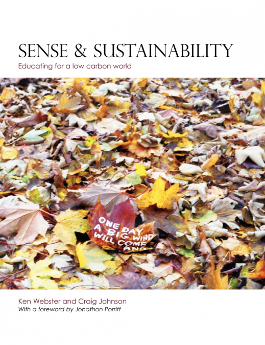 SENSE AND SUSTAINABILITY