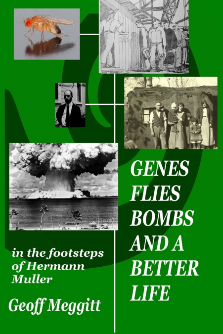 GENES, FLIES, BOMB AND A BETTER LIFE