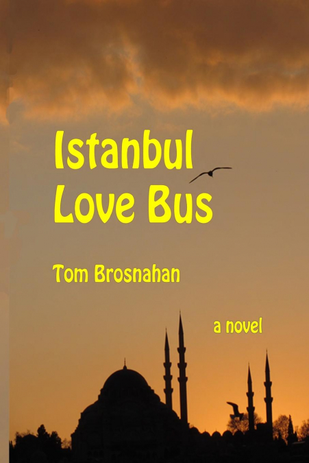 ISTANBUL LOVE BUS