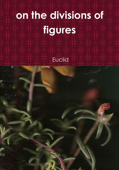 ON THE DIVISIONS OF FIGURES