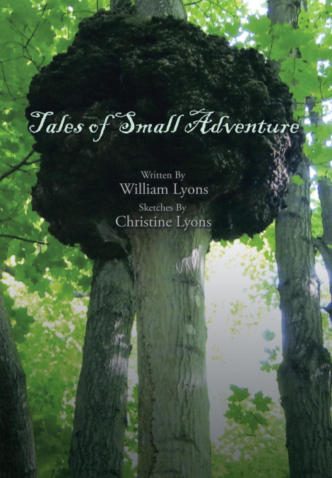 TALES OF SMALL ADVENTURE