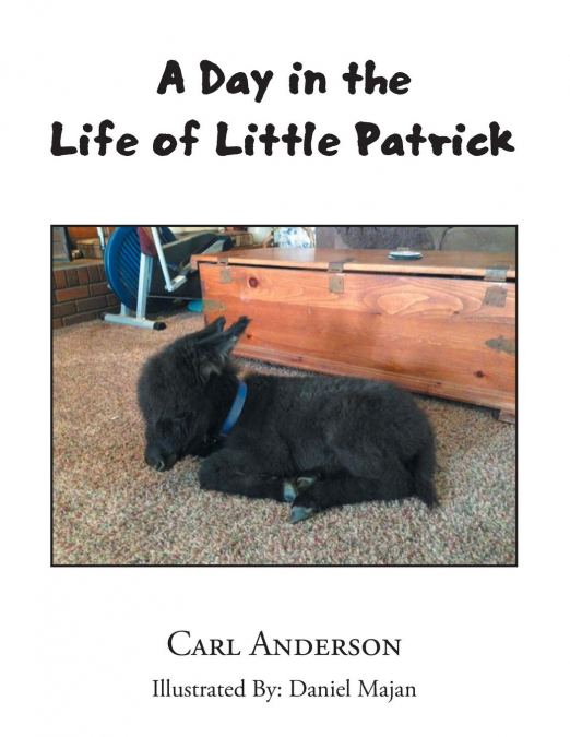A DAY IN THE LIFE OF LITTLE PATRICK