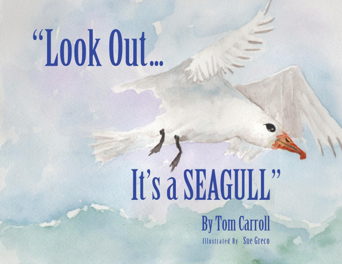 'LOOK OUT... IT?S A SEAGULL'
