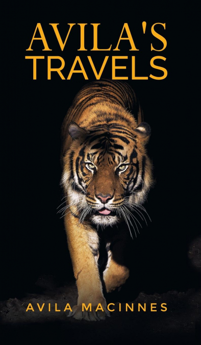 AVILA'S TRAVELS