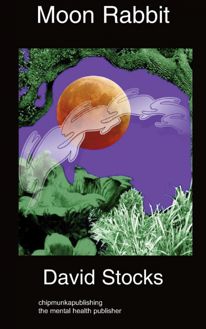 MOON RABBIT