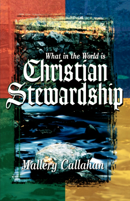 WHAT IN THE WORLD IS CHRISTIAN STEWARDSHIP