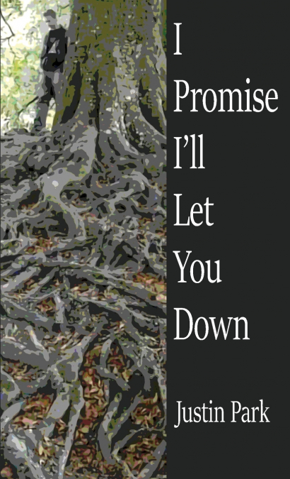 I PROMISE I?LL LET YOU DOWN