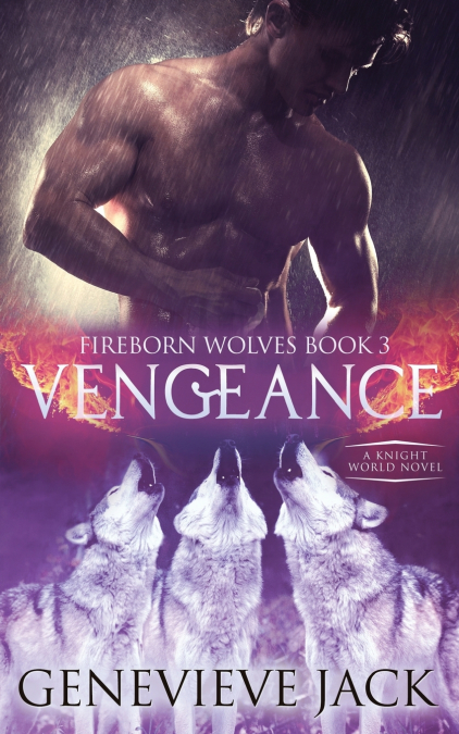 VENGEANCE