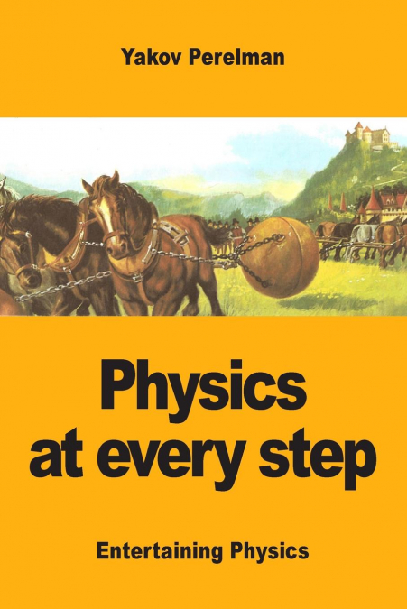 PHYSICS AT EVERY STEP