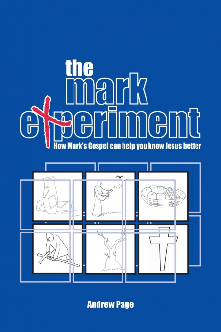 THE MARK EXPERIMENT