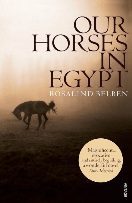OUR HORSES IN EGYPT