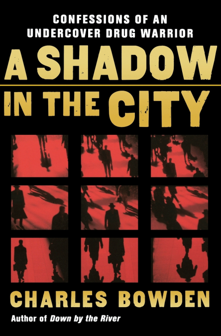 A SHADOW IN THE CITY