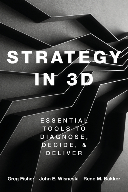 STRATEGY IN 3D