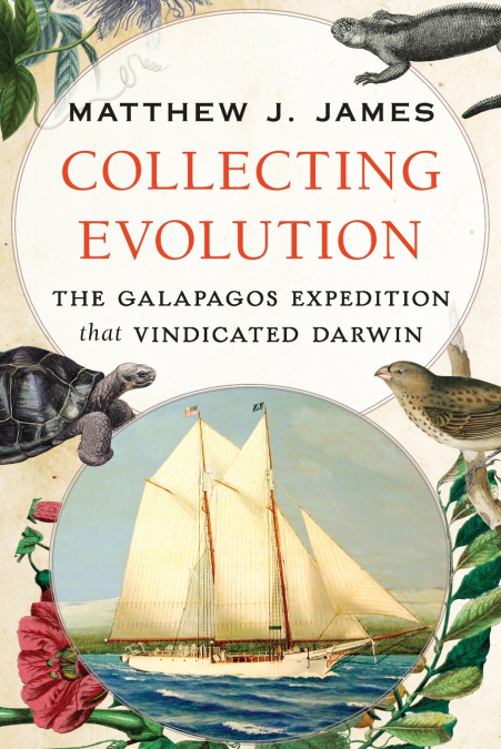 COLLECTING EVOLUTION