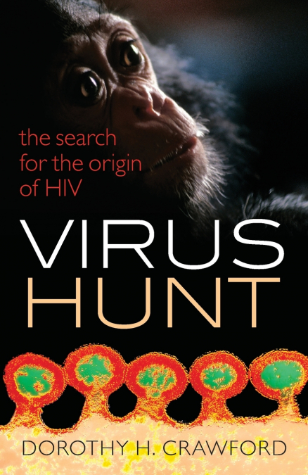VIRUS HUNT
