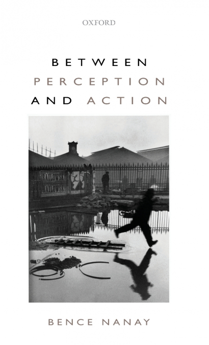 BETWEEN PERCEPTION AND ACTION