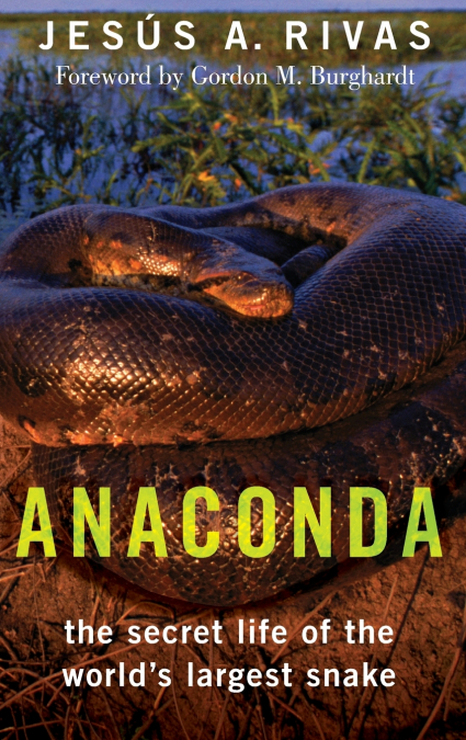 ANACONDA