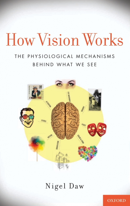 HOW VISION WORKS