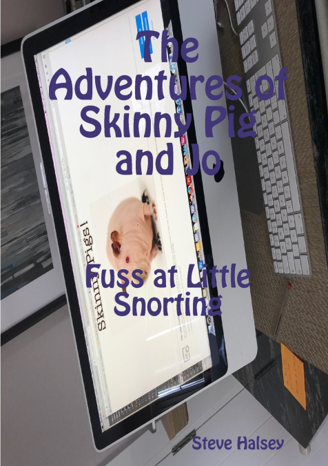 THE ADVENTURES OF SKINNY PIG AND JO FUSS AT LITTLE SNORTING