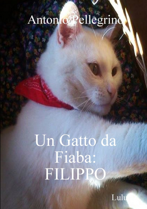 UN GATTO DA FIABA