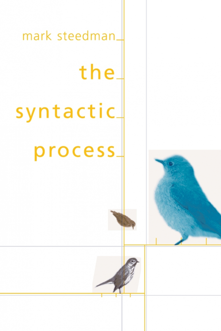 THE SYNTACTIC PROCESS