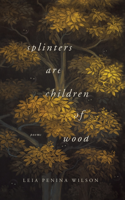SPLINTERS ARE CHILDREN OF WOOD
