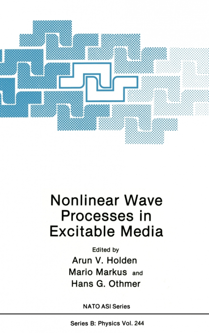 NONLINEAR WAVE PROCESSES IN EXCITABLE MEDIA