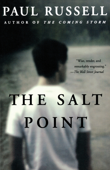 THE SALT POINT