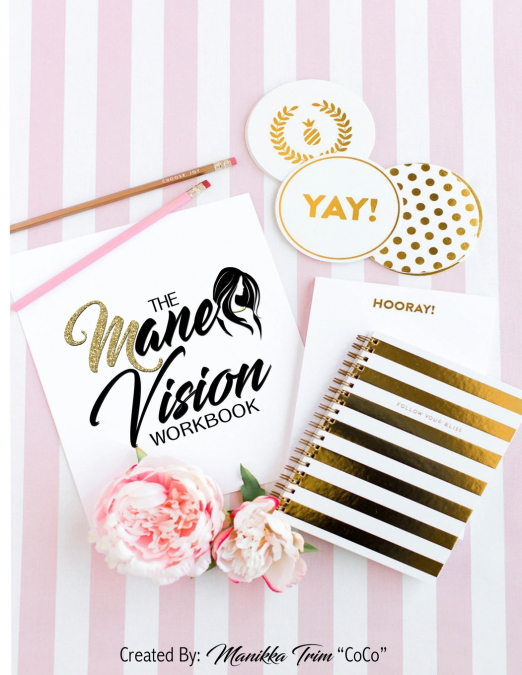 THE MANE VISION WORKBOOK