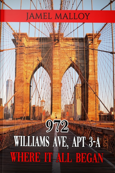 972 WILLIAMS AVE ,WHERE IT ALL BEGAN