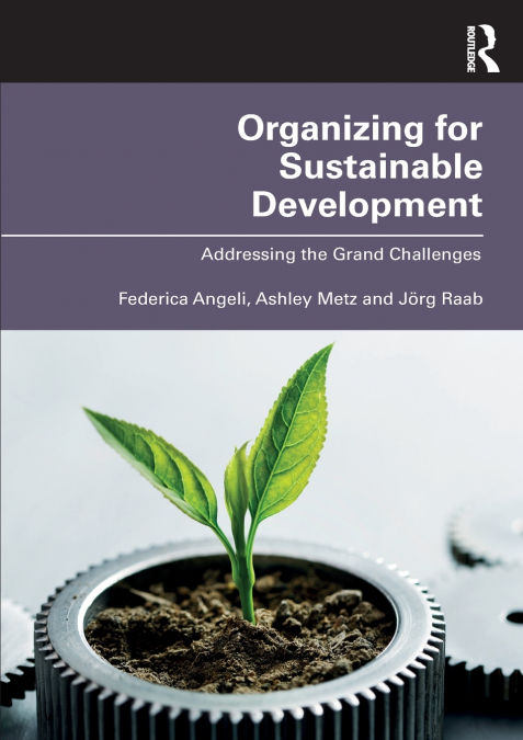 ORGANIZING FOR SUSTAINABLE DEVELOPMENT