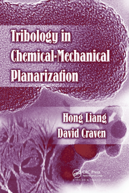 TRIBOLOGY IN CHEMICAL-MECHANICAL PLANARIZATION