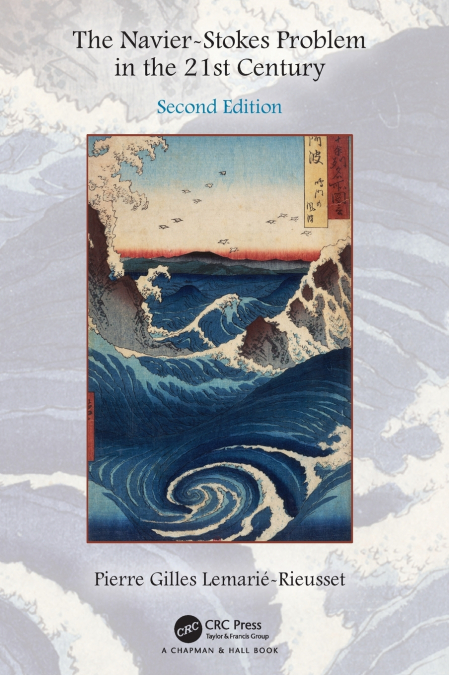 THE NAVIER-STOKES PROBLEM IN THE 21ST CENTURY