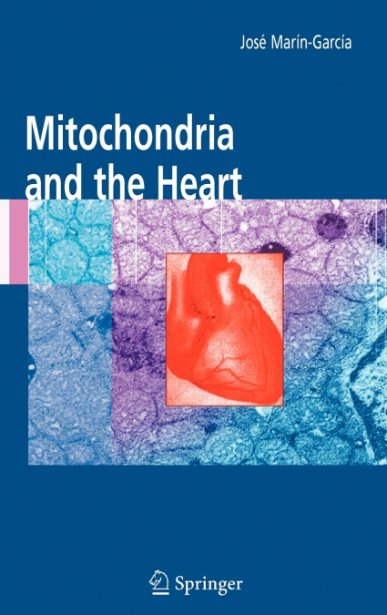MITOCHONDRIA AND THE HEART