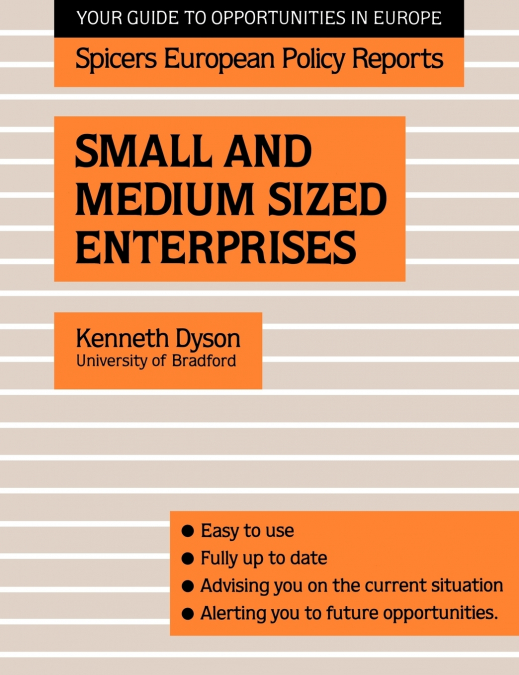 SMALL AND MEDIUM SIZED ENTERPRISES