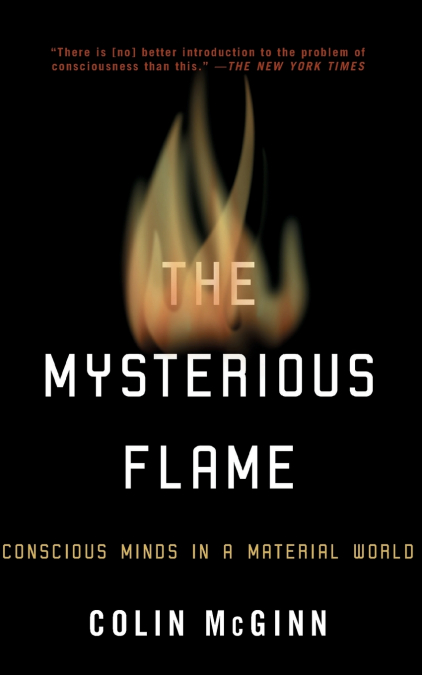 THE MYSTERIOUS FLAME