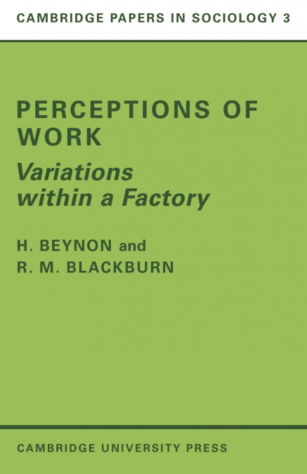 PERCEPTIONS OF WORK