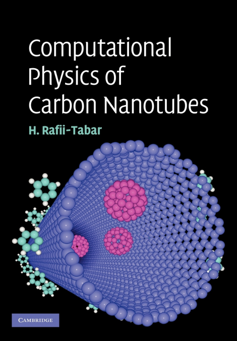 COMPUTATIONAL PHYSICS OF CARBON NANOTUBES
