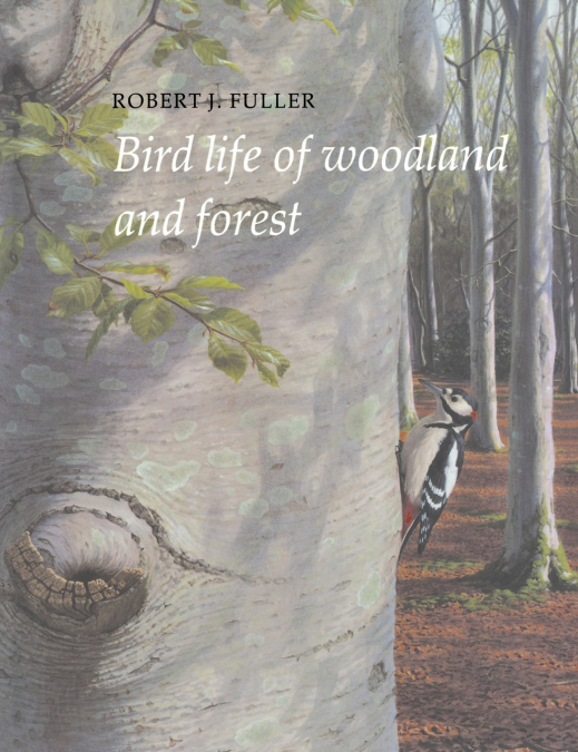 BIRD LIFE OF WOODLAND AND FOREST