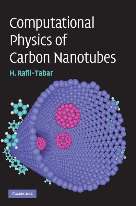 COMPUTATIONAL PHYSICS OF CARBON NANOTUBES