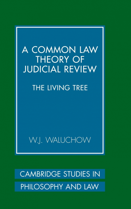 A COMMON LAW THEORY OF JUDICIAL REVIEW