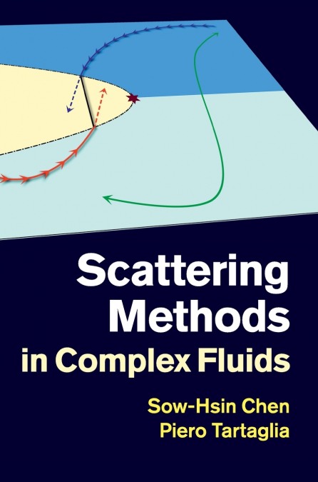 SCATTERING METHODS IN COMPLEX FLUIDS