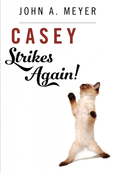 CASEY STRIKES AGAIN!