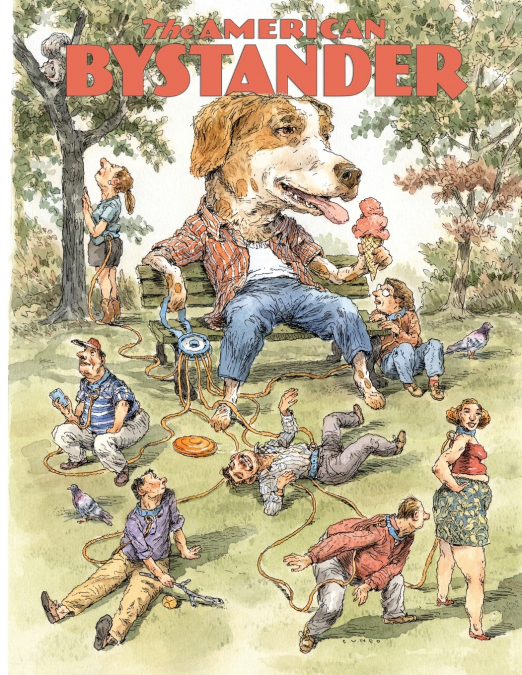 THE AMERICAN BYSTANDER #12