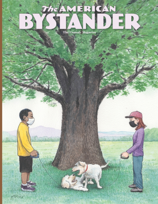 THE AMERICAN BYSTANDER #12