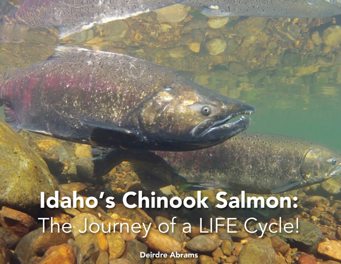 IDAHO?S CHINOOK SALMON