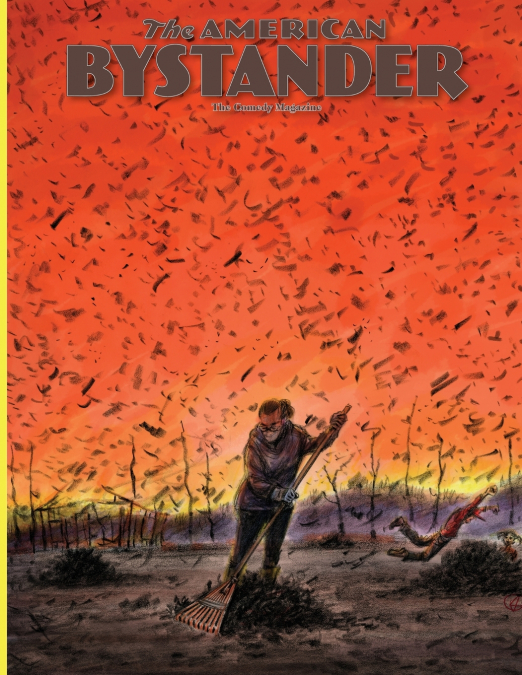 THE AMERICAN BYSTANDER #12