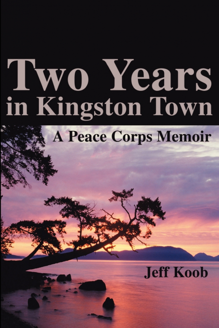 TWO YEARS IN KINGSTON TOWN