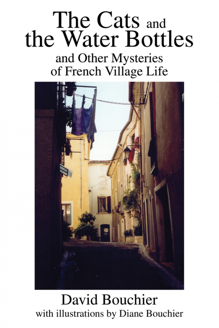 THE CATS AND THE WATER BOTTLES