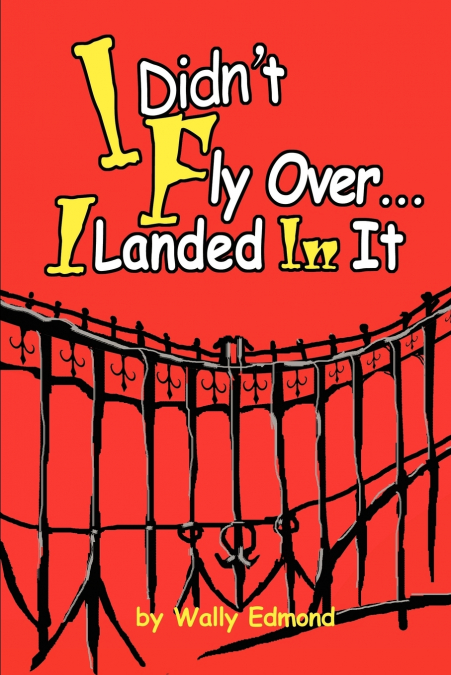 I DIDN?T FLY OVER... I LANDED IN IT